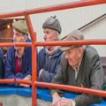 Sheep show and sale (6)